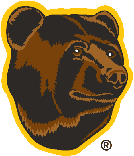 Boston Bruins 1995-2007 Alternate Logo DIY iron on transfer (heat transfer)